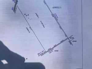 Teren agricol/arabil 23 ha, comasat, extravilan, Butin, Timis — miniatura 8