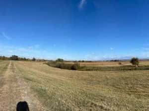 Teren agricol/arabil 23 ha, comasat, extravilan, Butin, Timis — miniatura 10