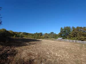 3 terenuri alăturate lângă pădure, Mica | aproape de Pitești — miniatura 1