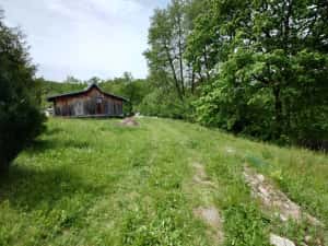 3 terenuri alăturate lângă pădure, Mica | aproape de Pitești — miniatura 5