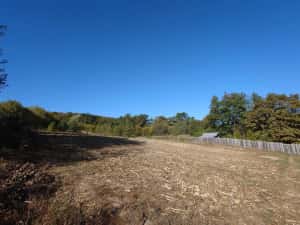 3 terenuri alăturate lângă pădure, Mica | aproape de Pitești — miniatura 9