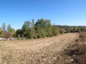 3 terenuri alăturate lângă pădure, Mica | aproape de Pitești — miniatura 10