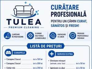 Curățare Canapele București & Ilfov — miniatura 3