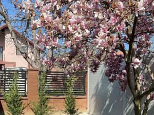 Casa de vanzare cu 5 camere la cateva minute de scoala gradinita Ghisoda — miniatura 10