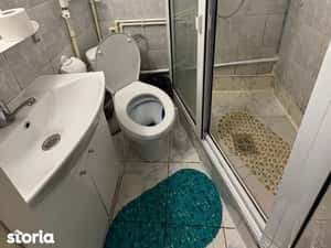 garsoniera 30 mp zona elena doamna mob si utilata complet 300 euro — miniatura 6