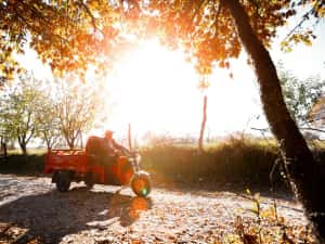 OFERTA: Triciclu electric, fara permis, cu cabina, rate — miniatura 6