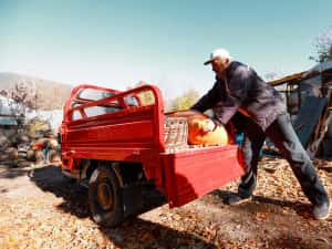 OFERTA: Triciclu electric, fara permis, cu cabina, rate — miniatura 7