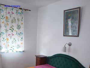 Grasoniera Podul Grand la curte la 350 euro — miniatura 4