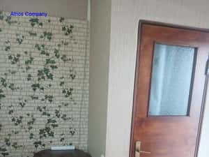 Grasoniera Podul Grand la curte la 350 euro — miniatura 6
