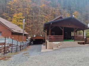 Cabana de inchiriat / Baisoara / Ciubar / Sauna