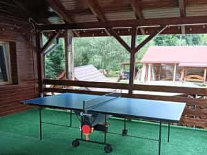 Cabana de inchiriat / Baisoara / Ciubar / Sauna — miniatura 5