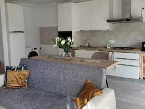 Maurer Residence - Inchiriere ap. 2 camere + loc de parcare — miniatura 4