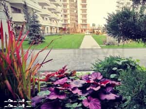 Apartament de 3 camere cu gradina — miniatura 3