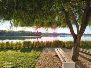 Garsonieră Lebăda Lake Residence — miniatura 3