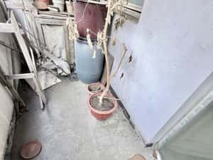 Vand 2 cam Libertatii confort 1 [etaj 2] — miniatura 6