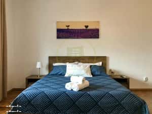 Apartament 1 Camera de inchiriat zona Centrala