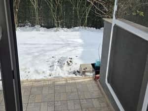 2 camere cu gradina Maramures Residence Otopeni — miniatura 5