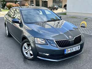 Skoda Octavia 2020, 1.6 Diesel, 117 CP, Gri — miniatura 2