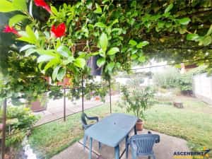 Poveste saseasca la umbra vitei de vie,cu crama,gradina flori,Central,Codlea — miniatura 4