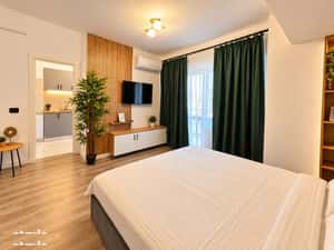 PRIMA INCHIRIERE! Apartament cu o camera, CONEST DACIA, 45mp, 420 euro — miniatura 3