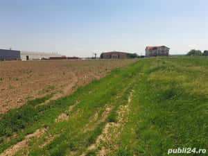 Vand teren intrav 4,5 HA,la inelul de AUTOSTRADA-Biharia si front CENTURA si sens giratoriu pe DN — miniatura 10