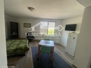Apartamente 1 camera, garsoniera (Pet-Frendly)-Str Somnului-Libertati — miniatura 3