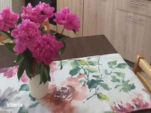 2 camere decomandate, Intre Lacuri, Iulius Mall, FSEGA, Profi, Auchan — miniatura 6