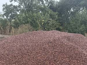 Piatra rosie ornamentala — miniatura 9