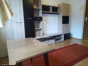 Garsonieră de închiriat , Zona Lipovei -Timisoara — miniatura 3