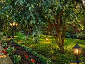 Pretios teren intravilan 1.409 mp, livada, utilitati,rezidential comercial, zona premium — miniatura 1