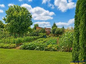 Pretios teren intravilan 1.409 mp, livada, utilitati,rezidential comercial, zona premium — miniatura 3