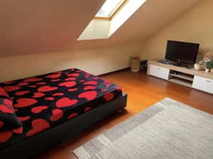 Casa spatioasa in Sag | 260 mp utili | teren 750 mp | 3 dormitoare — miniatura 7