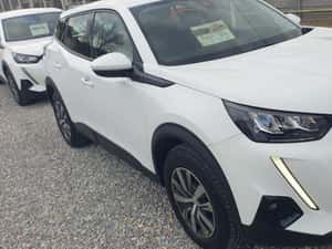 Peugeot 2008 2020 1.5 BlueHDI 102CP Active – 79.920 km