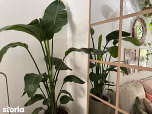 Apartament 2 camere Palladium Residence 1 — miniatura 6