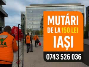 Manipulare mobila Iasi – Debarasari apartamente – Echipa profesionista — miniatura 1