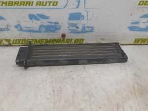 Radiator electric bord u4715001 Renault Latitude 1 (2010 - 2014) 2.0 DCI M9R824