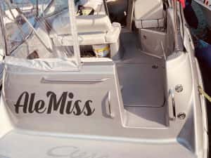 Vand barca Bayliner 245 sau schimb mercedes s class 2021 sau seria7 22 — miniatura 3