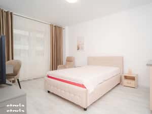 De inchiriat, apartament decomandat + parcare,  Zona Piata Nicolina — miniatura 3