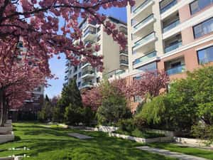 Emerald Residence - Apartament '70 mp + Parcare - View L.TEI — miniatura 3