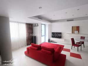 Apartament premium 3 camere Calea Mosilor, sector 2 — miniatura 2