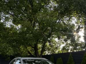 AUDI Q3 4x4 2013 | 2.0 TDI 170 CP | Automat — miniatura 4