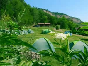 Transilvania Camping, domeniu de 14.400mp,Sanmarghita de Mures:2cladiri, apartamente,potential excep — miniatura 1