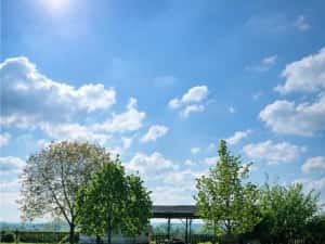 Transilvania Camping, domeniu de 14.400mp,Sanmarghita de Mures:2cladiri, apartamente,potential excep — miniatura 7