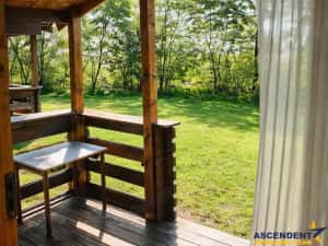 Transilvania Camping, domeniu de 14.400mp,Sanmarghita de Mures:2cladiri, apartamente,potential excep — miniatura 10