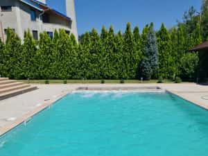 Constructii si reabilitari piscine — miniatura 7