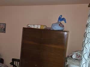 Apartament de vânzare — miniatura 4