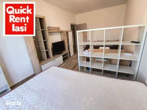 Copou Agronomie Bloc Nou Al.Mihail Sadoveanu Apartament 1Camera NOU — miniatura 5