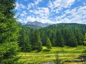 Teren intravilan panoramic 4.600mp,view iconic Piatra Craiului,oportunitate premium