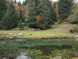 Teren intravilan panoramic 4.600mp,view iconic Piatra Craiului,oportunitate premium — miniatura 2