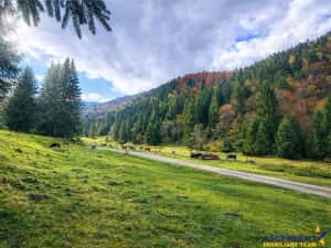 Teren intravilan panoramic 4.600mp,view iconic Piatra Craiului,oportunitate premium — miniatura 3